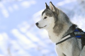 华体会-中超青训激励计划加强中小俱乐部投入，中超青训好的俱乐部