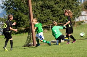 华体会平台-中国足球场馆建设现状，中国足球场建设计划