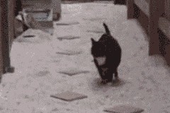 华体会在线下载-奇库诺娃决赛中展现强大心理素质，奇伊vs库洛艾