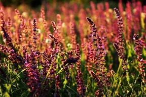 华体会在线登录-中国足球国家队利用大数据建立球员状态曲线，中国足球队规化球员