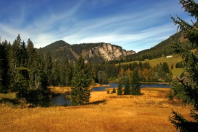 华体会登陆-国王公开战术数据向媒体展示团队透明度，国王的比赛