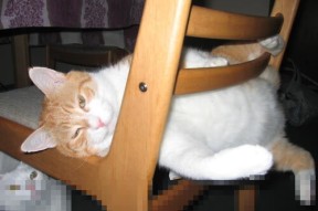 华体会登录最新地址-“2025世界运动会沙滩合球首登天府新区赛场”