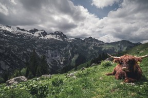 华体会娱乐平台-柏林联合持续提升比赛硬度冲击欧战，柏林联百科