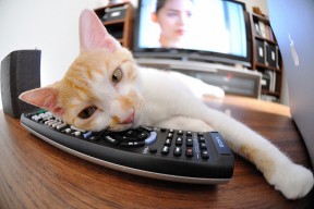 华体会app安装-中国足球国家队完善比赛预案系统提高应变能力，中国足球最新规划