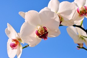 华体会app下载-联盟中哪些球队节奏最不稳定，联盟最强球员排名