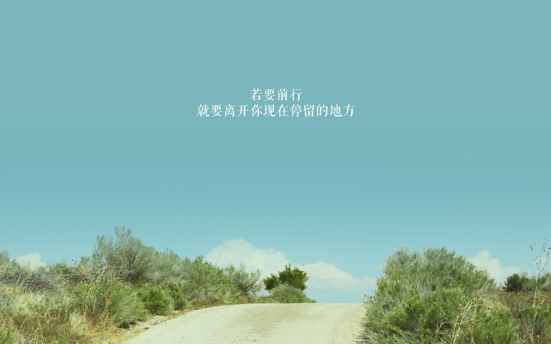 中国篮球职业俱乐部财务风险管理策略，篮球俱乐部企业概况