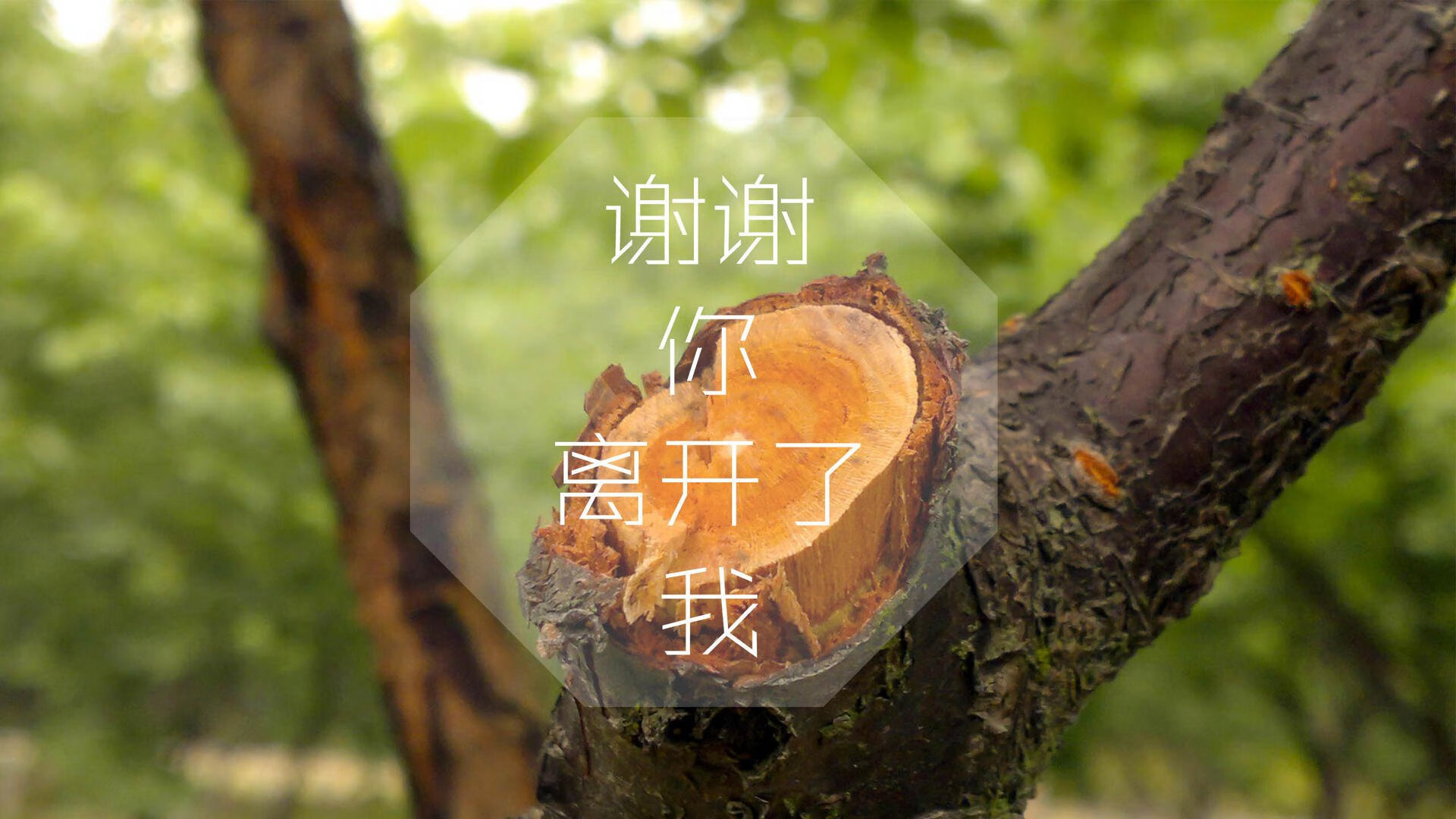 中国篮球职业俱乐部青训人才选拔与培养机制，中国国家篮球青训选拔
