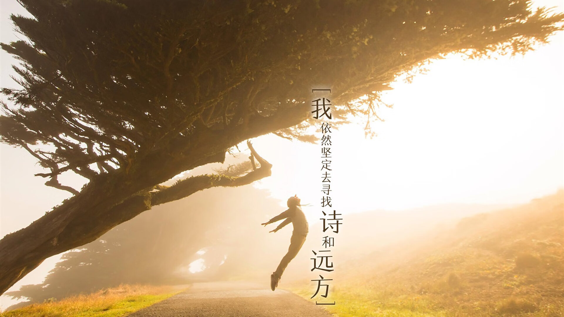 中国三人篮球男队攻防平衡，中国男篮三人篮球队阵容