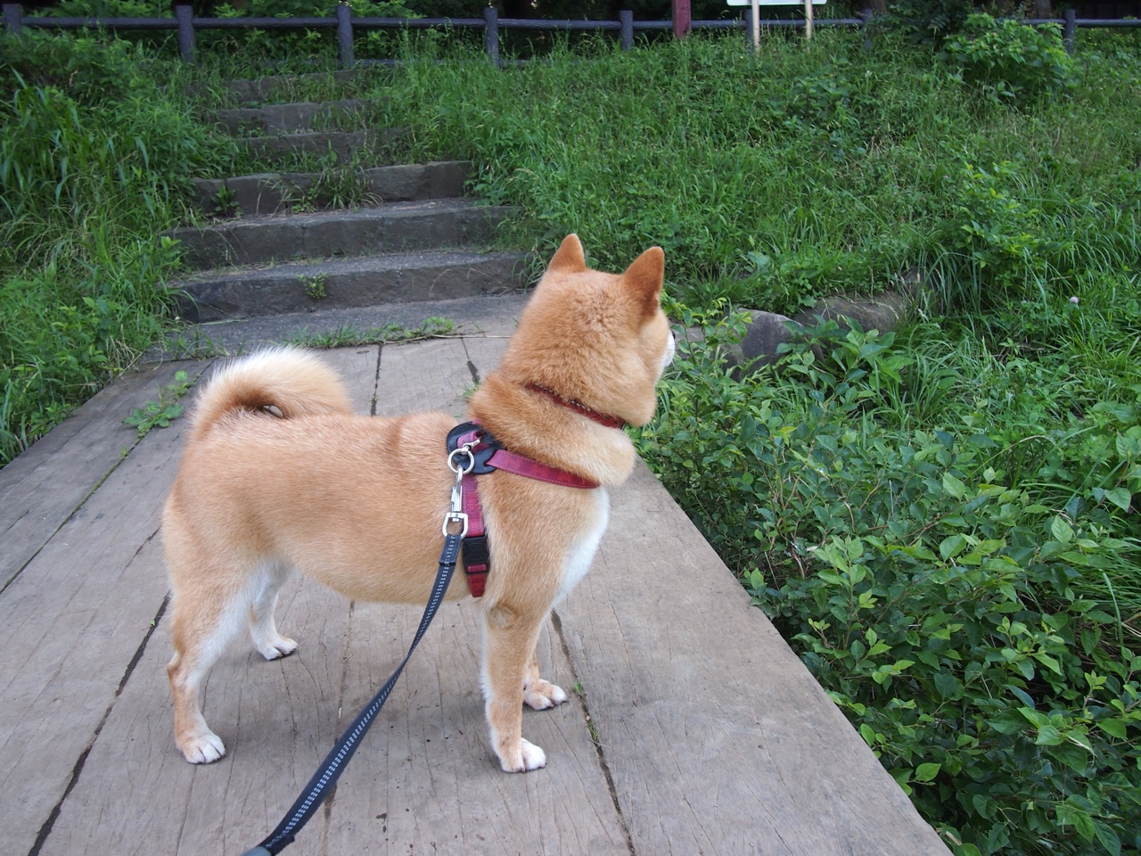 中超再战国际热身赛 中国队逆转引发讨论，中超热身赛直播