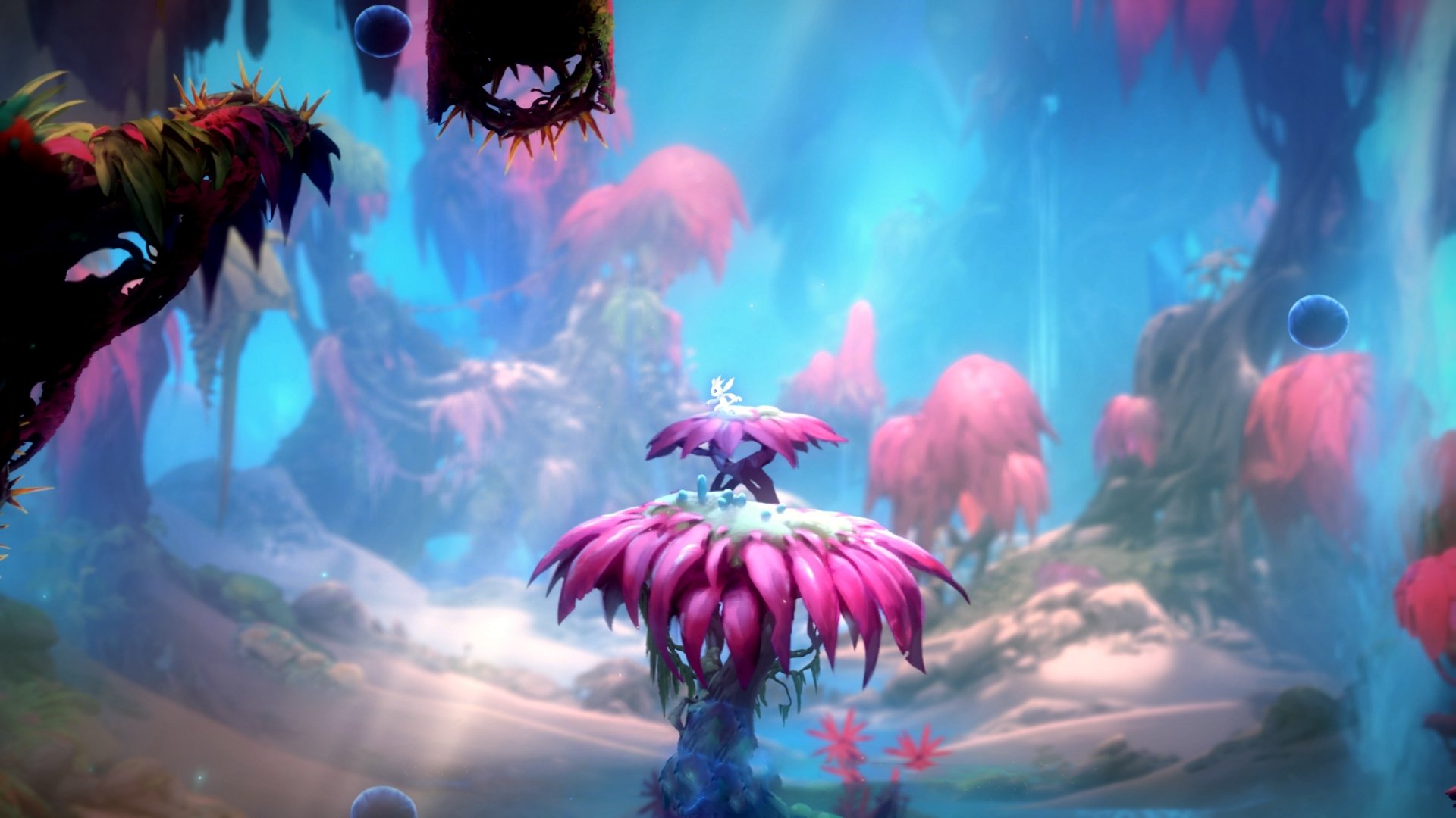 加拿大队赛制分析:在混合团体赛中如何应对技术与策略挑战,加拿大的比赛