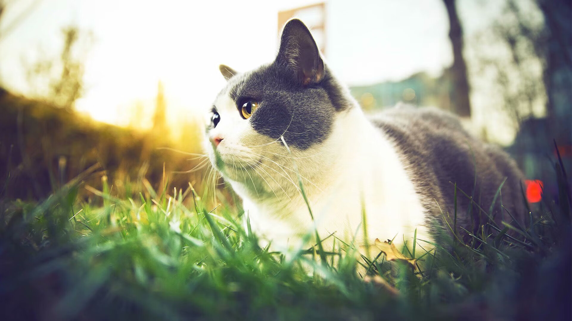 印度队2024年国际乒联混合团体世界杯:进步不止,战术不断深化,印度世乒赛