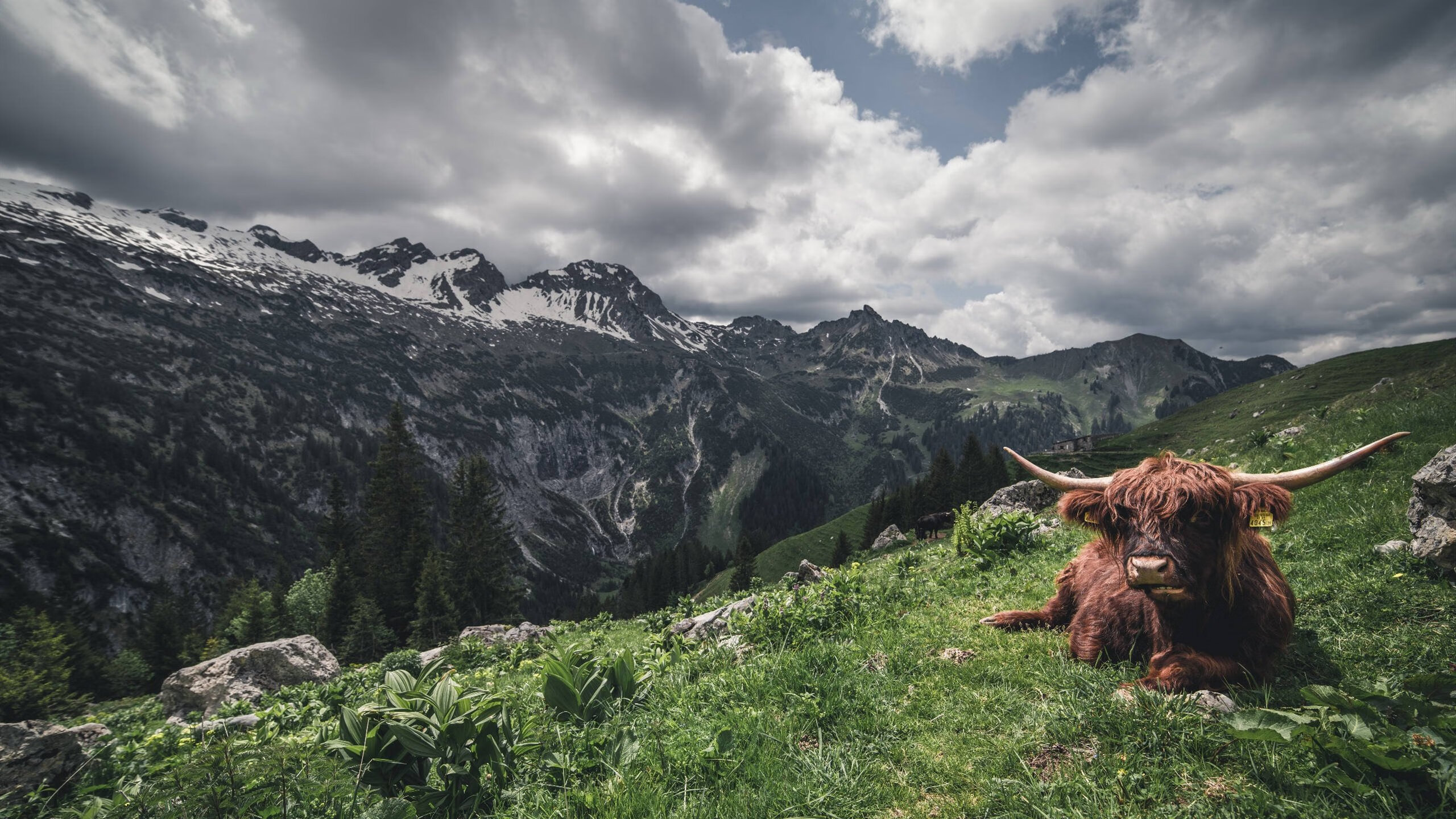 柏林联合持续提升比赛硬度冲击欧战，柏林联百科