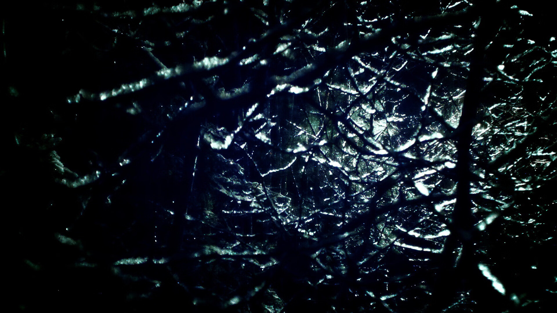 “诺克·达维德·彼得森引领南非羚羊队踏上胜利之路”