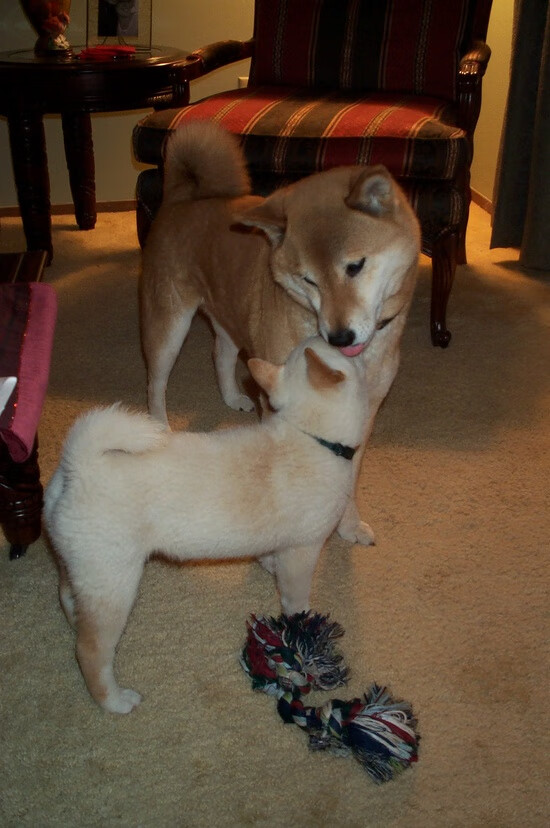 世界杯亚洲区选拔赛落幕,世界杯亚洲区资格赛