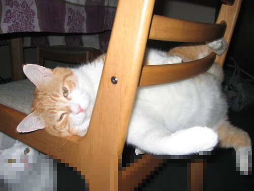 全球青少年足球锦标赛盛大开幕，培养国际足球未来力量，全国青少年足球锦标赛冠军