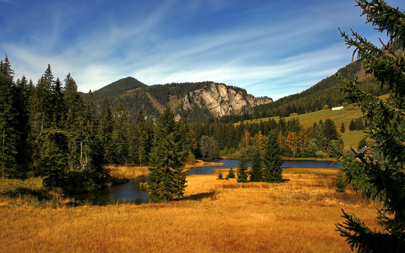 国王公开战术数据向媒体展示团队透明度，国王的比赛