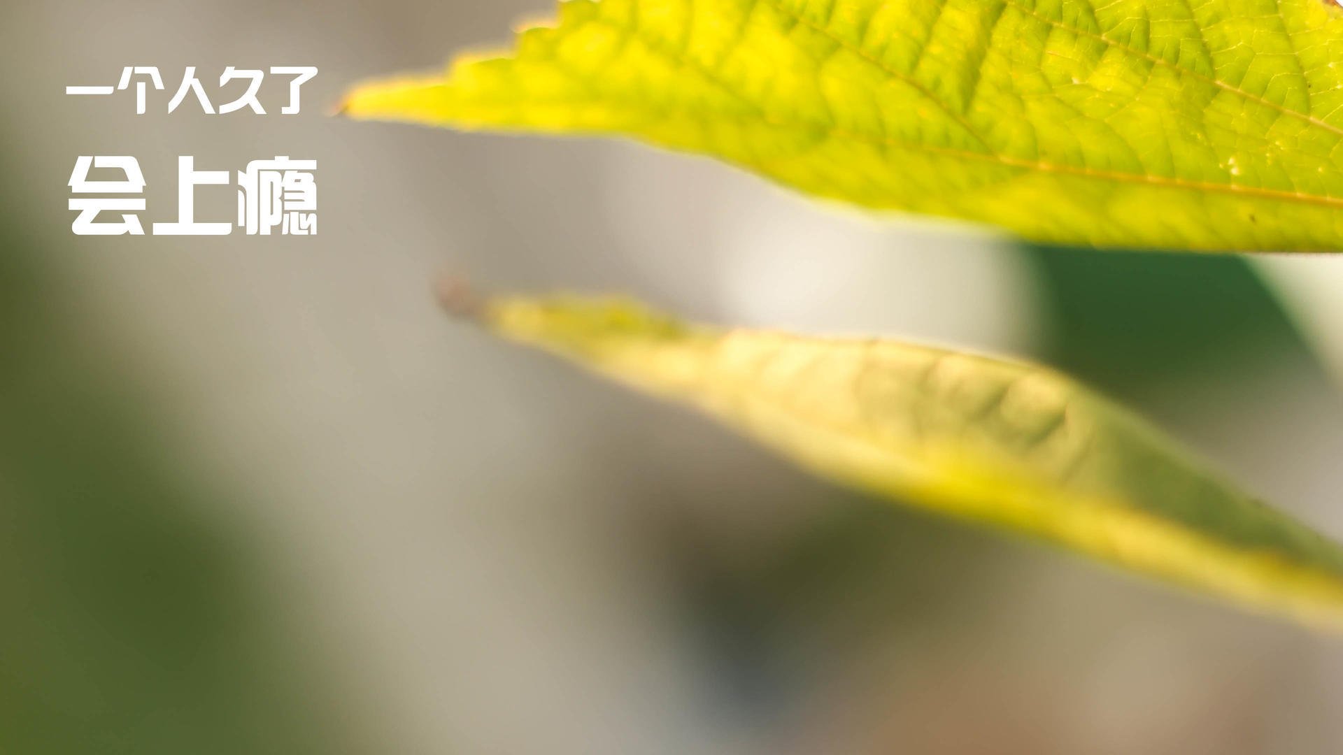 德甲最精彩瞬间：激烈对抗层出不穷，德甲身体对抗