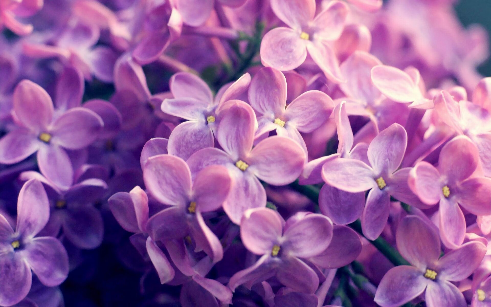 火箭客场击败灰熊结束连败颓势，火箭对灰熊今天比赛视频