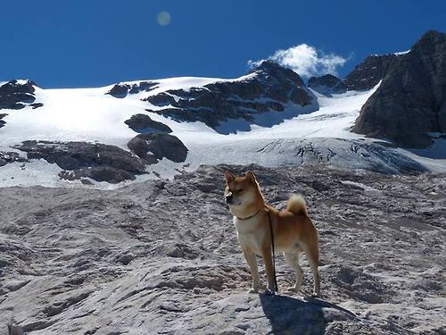 篮球比赛裁判判罚标准统一,列出6种篮球比赛的裁判规则