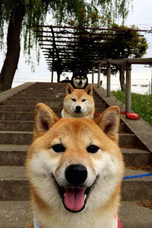 美洲杯激烈对抗:本届最佳比赛引爆球迷热情,美洲杯最新